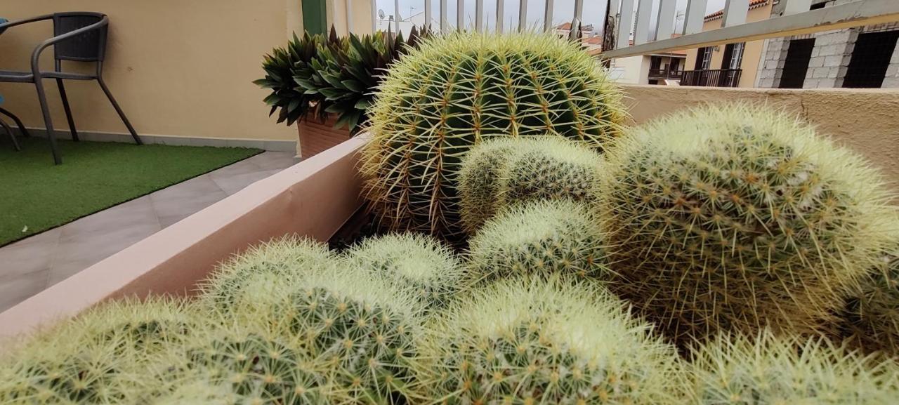 San Felipe Penthouse Apartment
